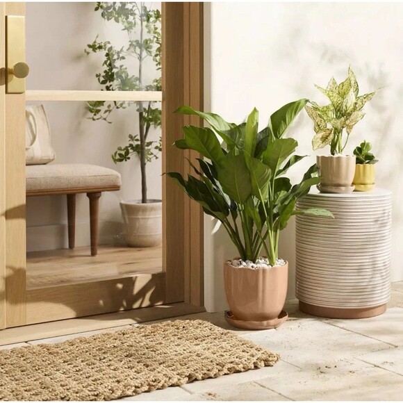 9.5" Scalloped Edge Stoneware Planter Pot Saucer Rust - Hearth & Hand Magnolia - Picture 2 of 7